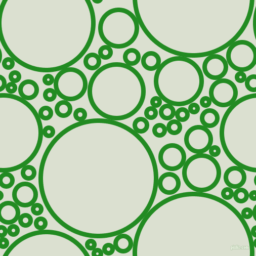 bubbles, circles, sponge, big, medium, small, 9 pixel line width, Forest Green and Feta circles bubbles sponge soap seamless tileable