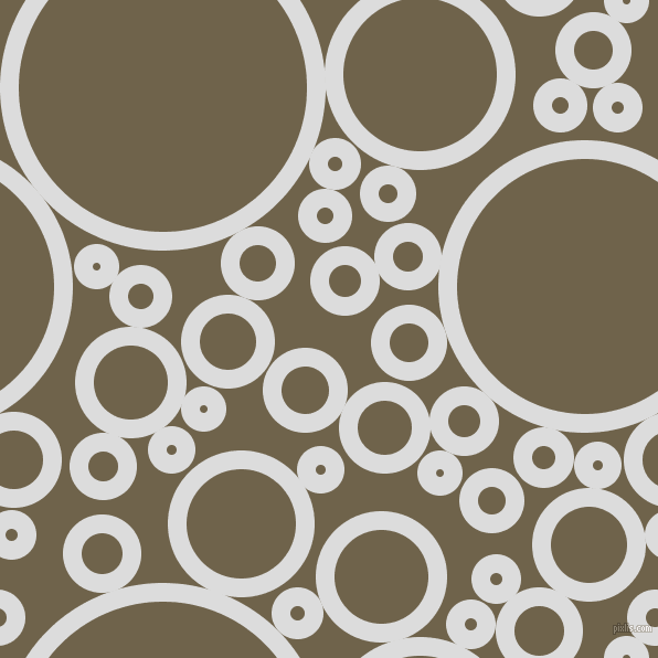 bubbles, circles, sponge, big, medium, small, 17 pixel line width, Gainsboro and Soya Bean circles bubbles sponge soap seamless tileable