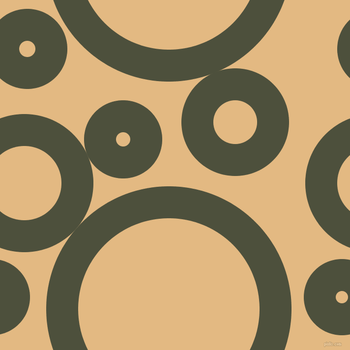 bubbles, circles, sponge, big, medium, small, 65 pixel line width, Kelp and Maize circles bubbles sponge soap seamless tileable