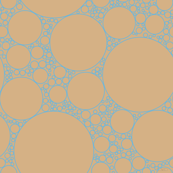 bubbles, circles, sponge, big, medium, small, 2 pixel line width, Malibu and Calico circles bubbles sponge soap seamless tileable