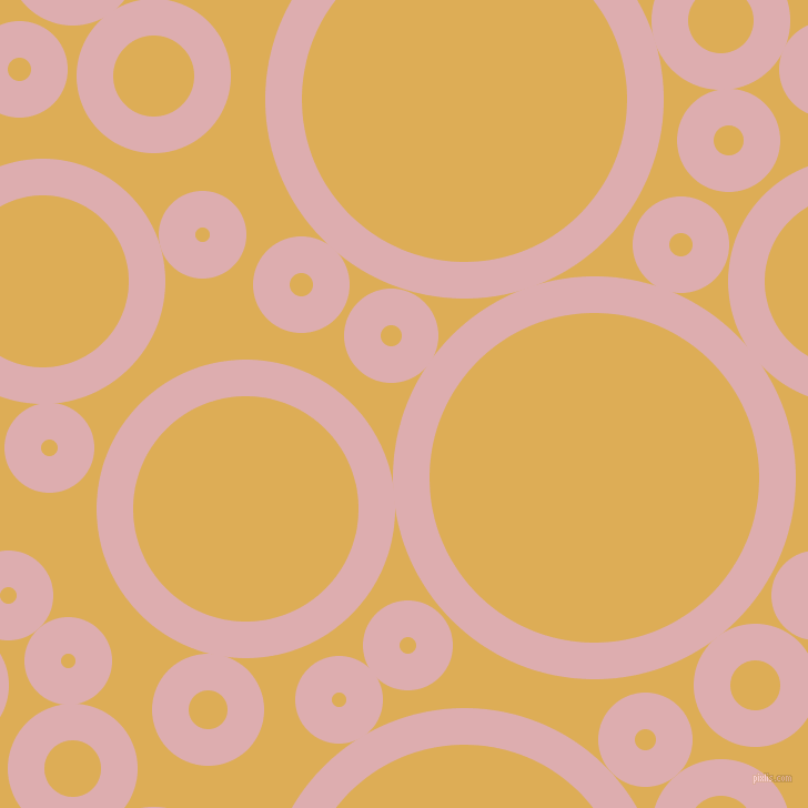 bubbles, circles, sponge, big, medium, small, 33 pixel line width, Pale Chestnut and Rob Roy circles bubbles sponge soap seamless tileable