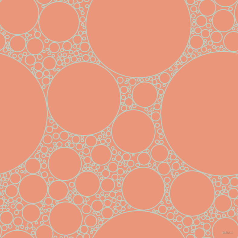 bubbles, circles, sponge, big, medium, small, 3 pixel line width, Paris White and Dark Salmon circles bubbles sponge soap seamless tileable