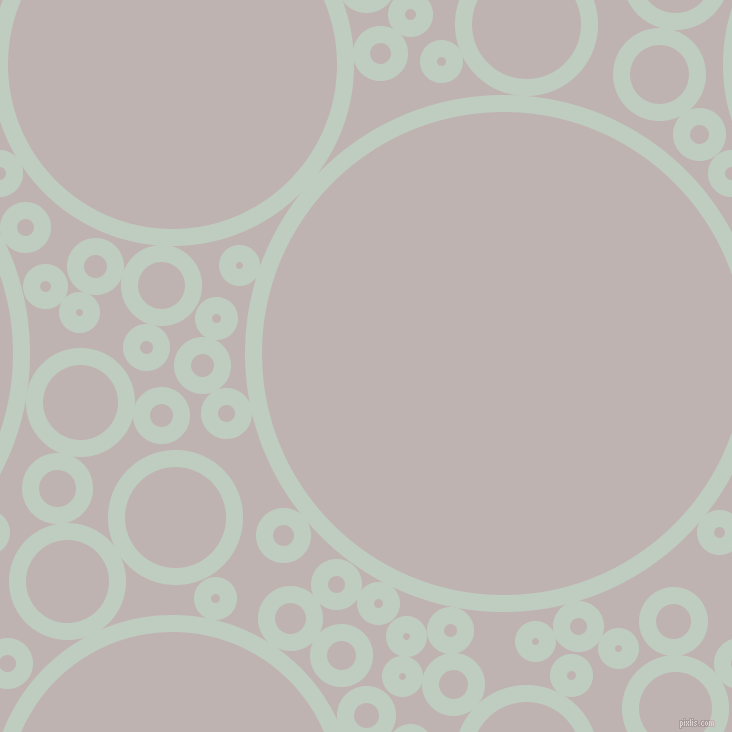 bubbles, circles, sponge, big, medium, small, 17 pixel line width, Paris White and Pink Swan circles bubbles sponge soap seamless tileable