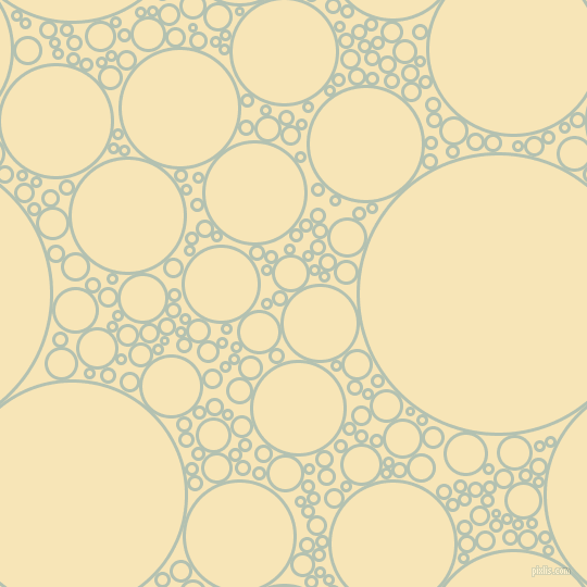 bubbles, circles, sponge, big, medium, small, 3 pixel line width, Rainee and Barley White circles bubbles sponge soap seamless tileable