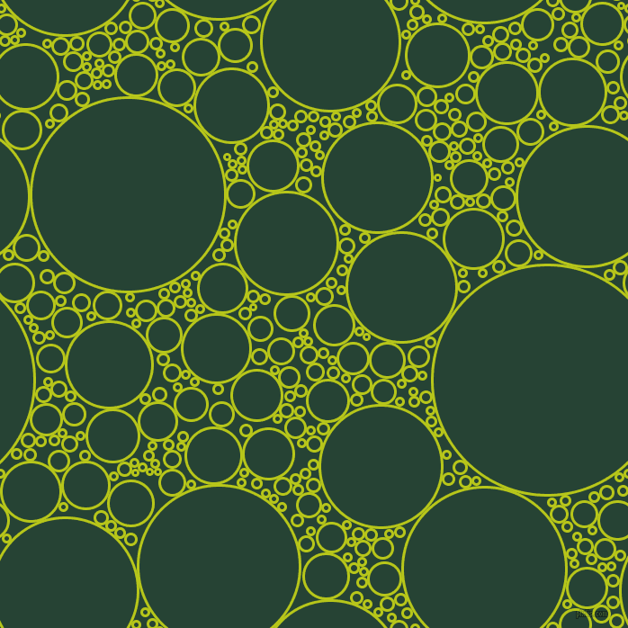 bubbles, circles, sponge, big, medium, small, 3 pixel line width, Rio Grande and Everglade circles bubbles sponge soap seamless tileable
