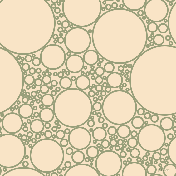 bubbles, circles, sponge, big, medium, small, 5 pixel line width, Sage and Derby circles bubbles sponge soap seamless tileable