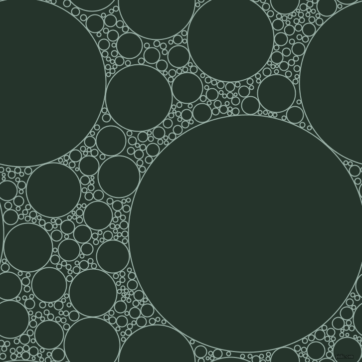 bubbles, circles, sponge, big, medium, small, 2 pixel line width, Skeptic and Holly circles bubbles sponge soap seamless tileable