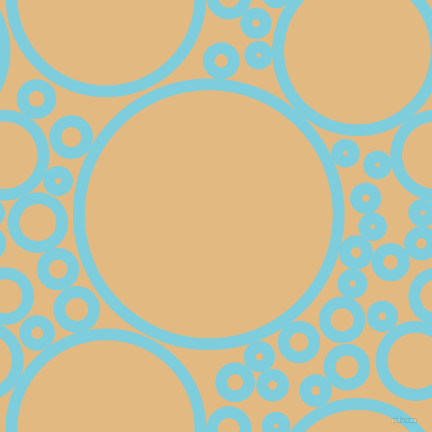 bubbles, circles, sponge, big, medium, small, 17 pixel line width, Spray and Maize circles bubbles sponge soap seamless tileable
