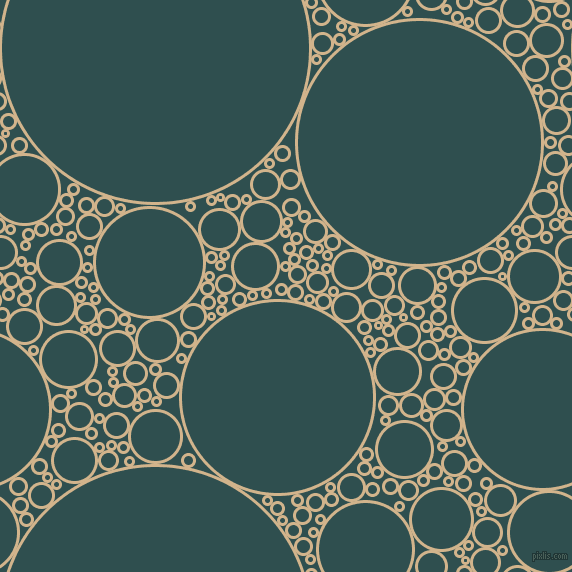 bubbles, circles, sponge, big, medium, small, 3 pixel line width, Tan and Dark Slate Grey circles bubbles sponge soap seamless tileable