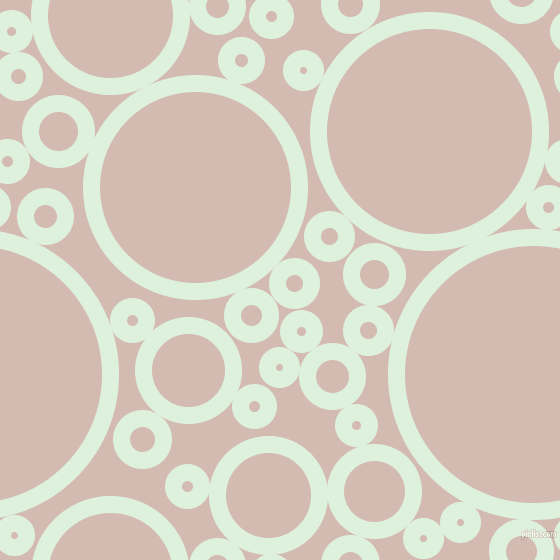 bubbles, circles, sponge, big, medium, small, 17 pixel line width, Tara and Wafer circles bubbles sponge soap seamless tileable