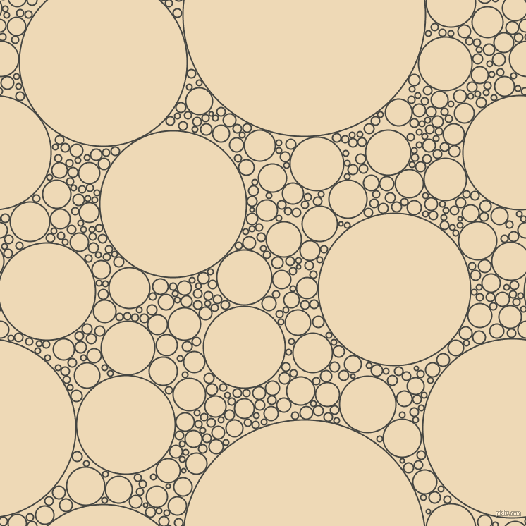 bubbles, circles, sponge, big, medium, small, 2 pixel line width, Tuatara and Champagne circles bubbles sponge soap seamless tileable