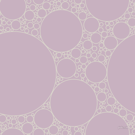 bubbles, circles, sponge, big, medium, small, 2 pixel line width, White Pointer and Maverick circles bubbles sponge soap seamless tileable