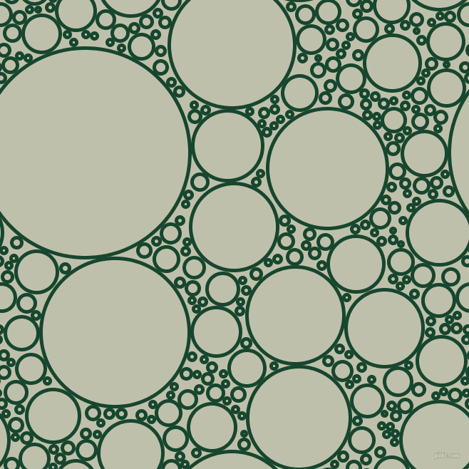 bubbles, circles, sponge, big, medium, small, 5 pixel line width, Zuccini and Kidnapper circles bubbles sponge soap seamless tileable