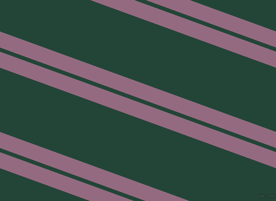 160 degree angle dual stripe lines, 31 pixel lines width, 8 and 124 pixel line spacing, dual two line striped seamless tileable