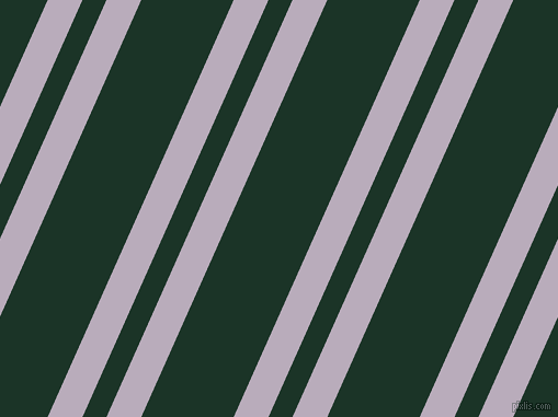66 degree angle dual stripes lines, 29 pixel lines width, 20 and 77 pixel line spacing, dual two line striped seamless tileable
