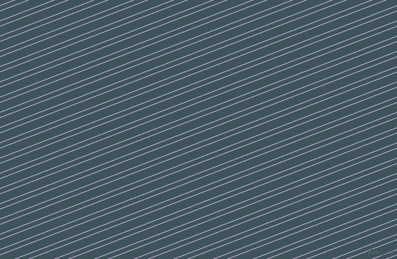 21 degree angles dual striped line, 1 pixel line width, 6 and 12 pixels line spacing, dual two line striped seamless tileable