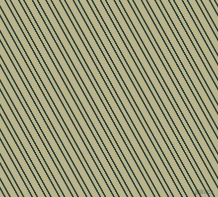 119 degree angle dual stripes line, 3 pixel line width, 6 and 12 pixel line spacing, dual two line striped seamless tileable