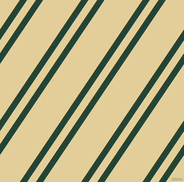 56 degree angle dual striped line, 20 pixel line width, 24 and 104 pixel line spacing, dual two line striped seamless tileable