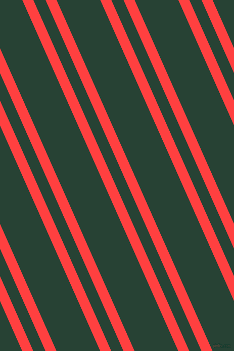 114 degree angle dual stripe lines, 20 pixel lines width, 22 and 79 pixel line spacing, dual two line striped seamless tileable