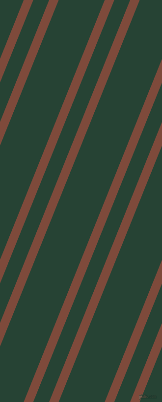 68 degree angle dual stripes lines, 18 pixel lines width, 30 and 87 pixel line spacing, dual two line striped seamless tileable