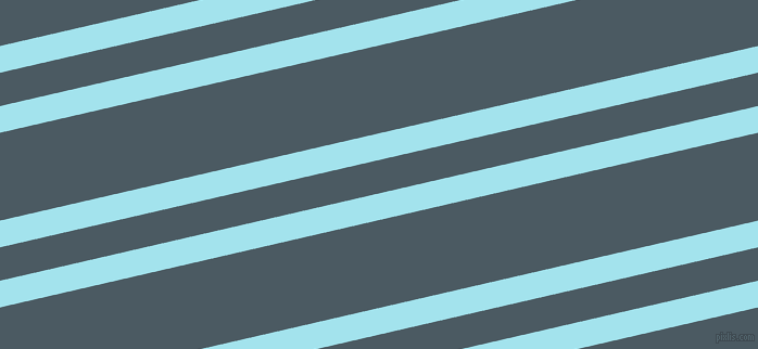 13 degree angle dual stripes lines, 24 pixel lines width, 30 and 79 pixel line spacing, dual two line striped seamless tileable