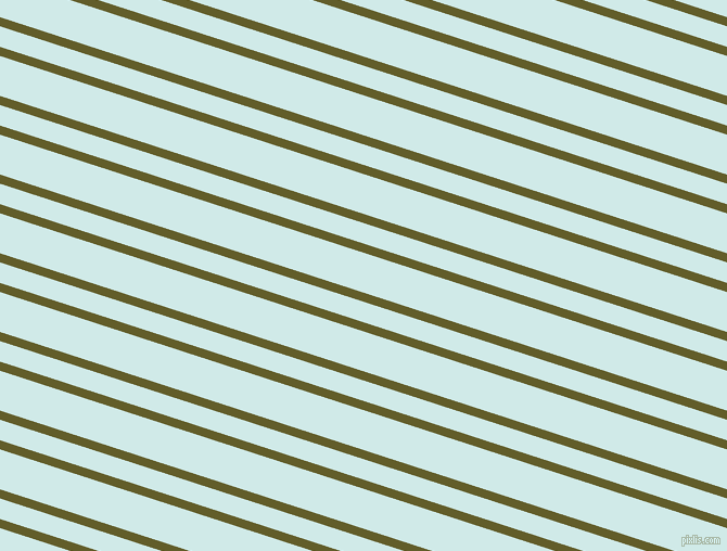 162 degree angles dual stripe lines, 8 pixel lines width, 18 and 35 pixels line spacing, dual two line striped seamless tileable