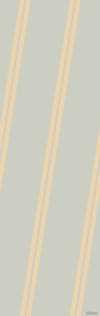 81 degree angles dual striped lines, 14 pixel lines width, 6 and 124 pixels line spacing, dual two line striped seamless tileable