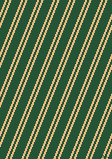 68 degree angles dual striped lines, 8 pixel lines width, 8 and 36 pixels line spacing, dual two line striped seamless tileable