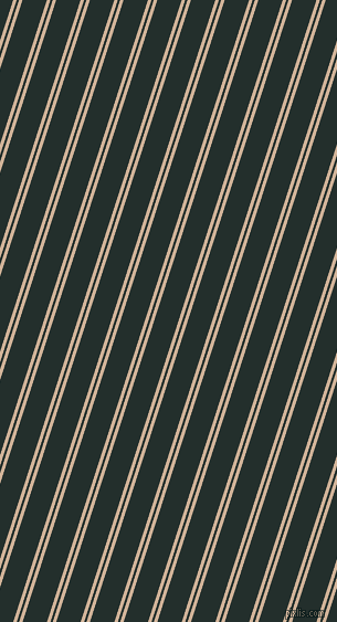 72 degree angle dual stripes line, 3 pixel line width, 2 and 21 pixel line spacing, dual two line striped seamless tileable