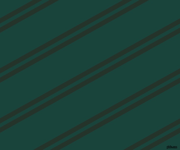 29 degree angle dual stripe lines, 16 pixel lines width, 12 and 107 pixel line spacing, Holly and Deep Teal dual two line striped seamless tileable