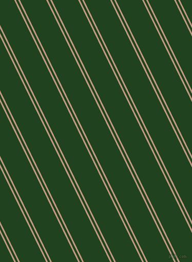 116 degree angles dual striped lines, 3 pixel lines width, 4 and 46 pixels line spacing, Pale Taupe and Myrtle dual two line striped seamless tileable