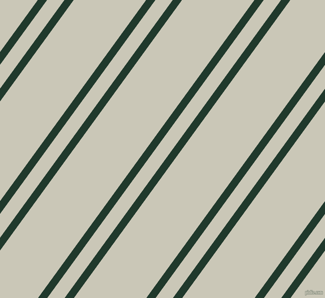 54 degree angles dual stripe lines, 15 pixel lines width, 28 and 117 pixels line spacing, Palm Green and Chrome White dual two line striped seamless tileable