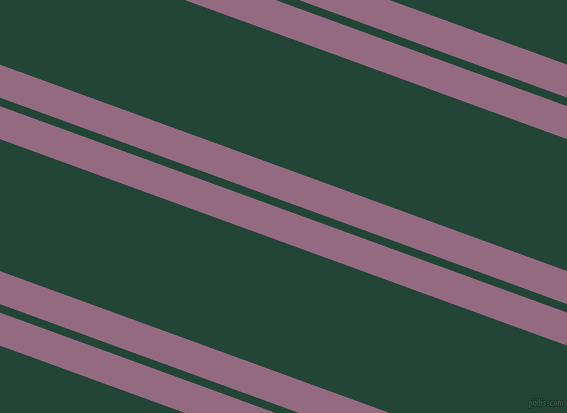 160 degree angle dual stripe lines, 31 pixel lines width, 8 and 124 pixel line spacing, Strikemaster and Burnham dual two line striped seamless tileable