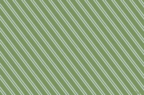 127 degree angle dual striped line, 4 pixel line width, 2 and 14 pixel line spacing, Zanah and Highland dual two line striped seamless tileable