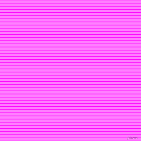 horizontal lines stripes, 1 pixel line width, 4 pixel line spacing, Magenta and Fuchsia Pink horizontal lines and stripes seamless tileable