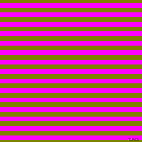 horizontal lines stripes, 16 pixel line width, 16 pixel line spacing, Magenta and Olive horizontal lines and stripes seamless tileable