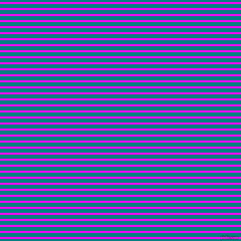 horizontal lines stripes, 4 pixel line width, 8 pixel line spacing, Magenta and Teal horizontal lines and stripes seamless tileable