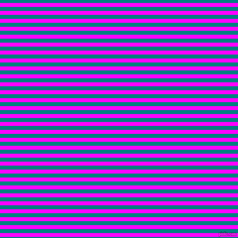 horizontal lines stripes, 8 pixel line width, 8 pixel line spacing, Magenta and Teal horizontal lines and stripes seamless tileable