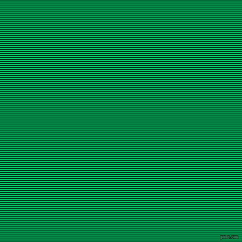 horizontal lines stripes, 2 pixel line width, 2 pixel line spacing, Spring Green and Black horizontal lines and stripes seamless tileable