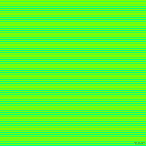 horizontal lines stripes, 2 pixel line width, 4 pixel line spacing, Spring Green and Chartreuse horizontal lines and stripes seamless tileable