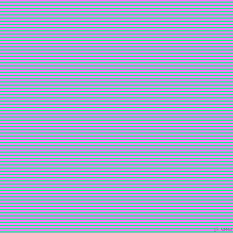 horizontal lines stripes, 1 pixel line width, 2 pixel line spacing, Spring Green and Fuchsia Pink horizontal lines and stripes seamless tileable