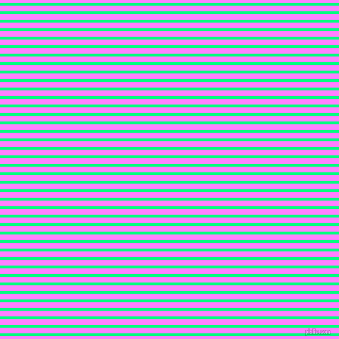 horizontal lines stripes, 4 pixel line width, 8 pixel line spacing, Spring Green and Fuchsia Pink horizontal lines and stripes seamless tileable