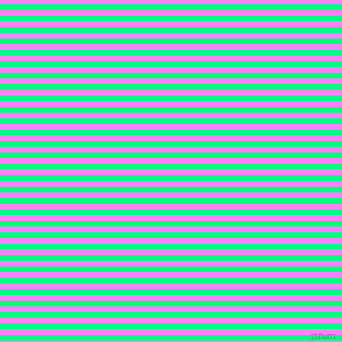 horizontal lines stripes, 8 pixel line width, 8 pixel line spacing, Spring Green and Fuchsia Pink horizontal lines and stripes seamless tileable
