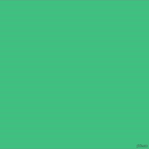 horizontal lines stripes, 2 pixel line width, 2 pixel line spacing, Spring Green and Grey horizontal lines and stripes seamless tileable