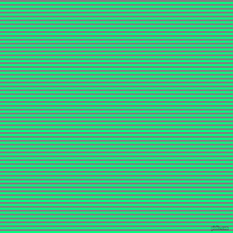 horizontal lines stripes, 4 pixel line width, 4 pixel line spacing, Spring Green and Grey horizontal lines and stripes seamless tileable