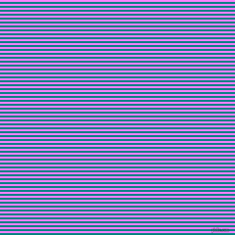 horizontal lines stripes, 4 pixel line width, 4 pixel line spacing, Teal and Fuchsia Pink horizontal lines and stripes seamless tileable