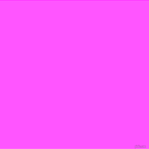 horizontal lines stripes, 1 pixel line width, 2 pixel line spacing, White and Magenta horizontal lines and stripes seamless tileable