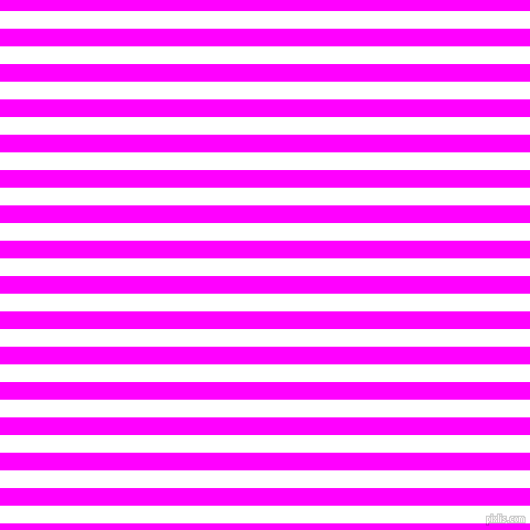 horizontal lines stripes, 16 pixel line width, 16 pixel line spacing, White and Magenta horizontal lines and stripes seamless tileable