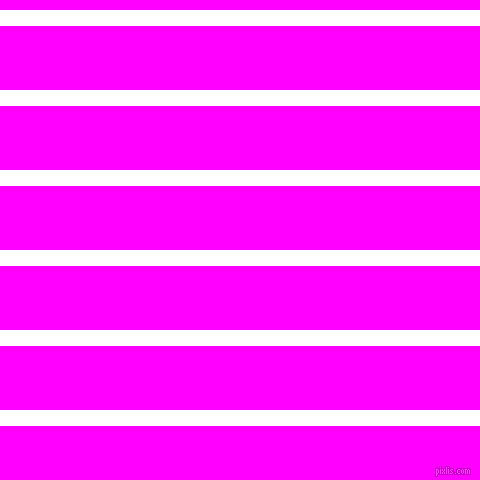 horizontal lines stripes, 16 pixel line width, 64 pixel line spacing, White and Magenta horizontal lines and stripes seamless tileable