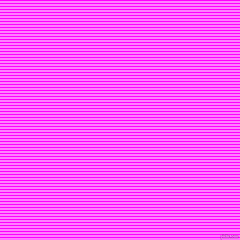horizontal lines stripes, 2 pixel line width, 4 pixel line spacing, White and Magenta horizontal lines and stripes seamless tileable